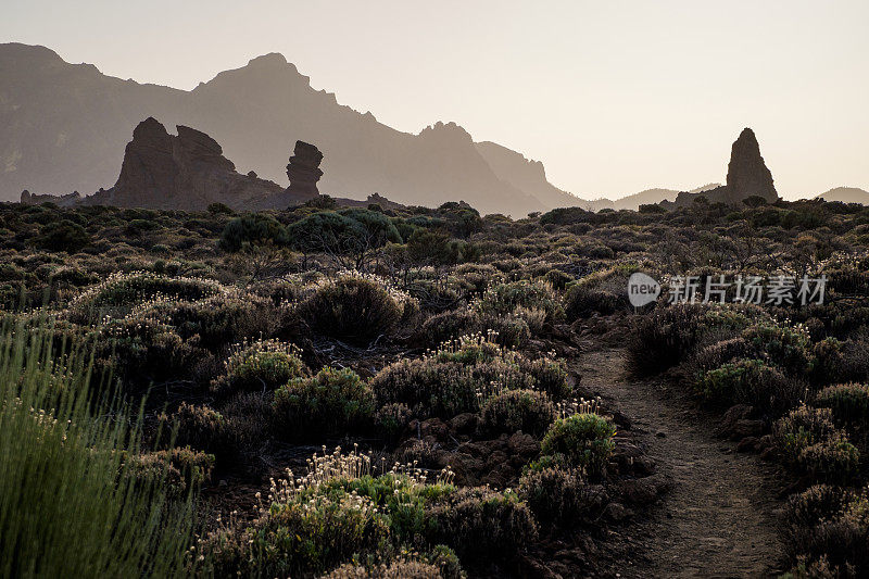 Roques de garcia, Teide国家公园，特内里费，加那利群岛，西班牙
